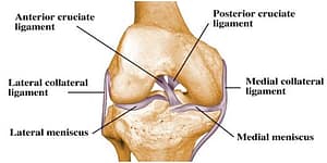 Knee Ligament Injuries
