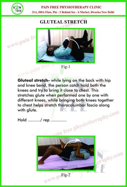 Gluteal Stretch
