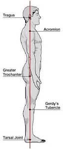 Posture Analysis1