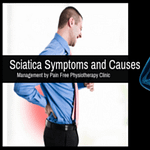 Sciatica Symptoms Causes | Pain Free Physiotherapy Clinic.
