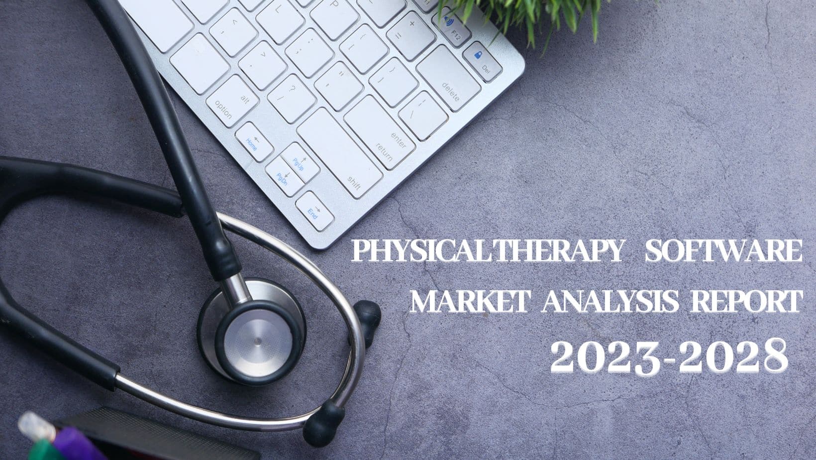 Physical Therapy Software Market Size and Growth Rate