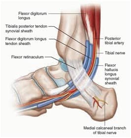Ankle and Foot Pain 9