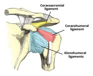 CORACOACROMIAL ARCH