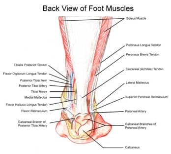 Ankle and Foot Pain 8