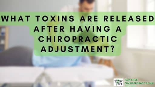 Toxins releases after Chiropractic adjustment? | Pain Free Physiotherapy Clinic